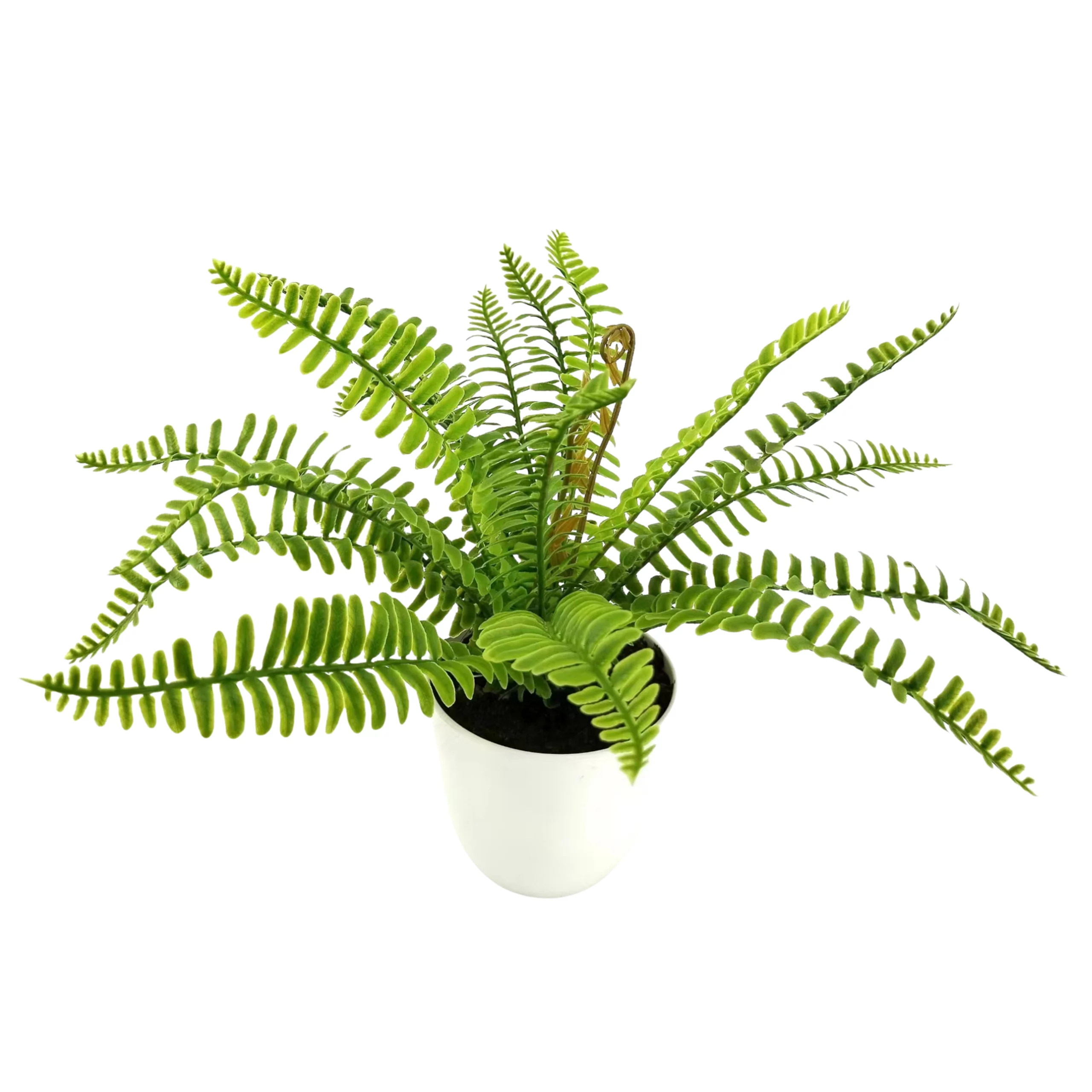 30cm Artificial Persian Fern Bush Plant 25STP338014