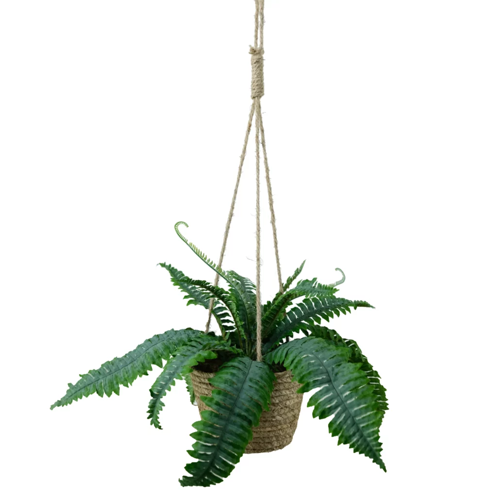 75cm Persian Fern Hanging Basket Q189-2