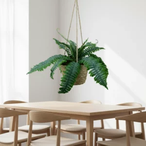 75cm Persian Fern Hanging Basket Q189-2