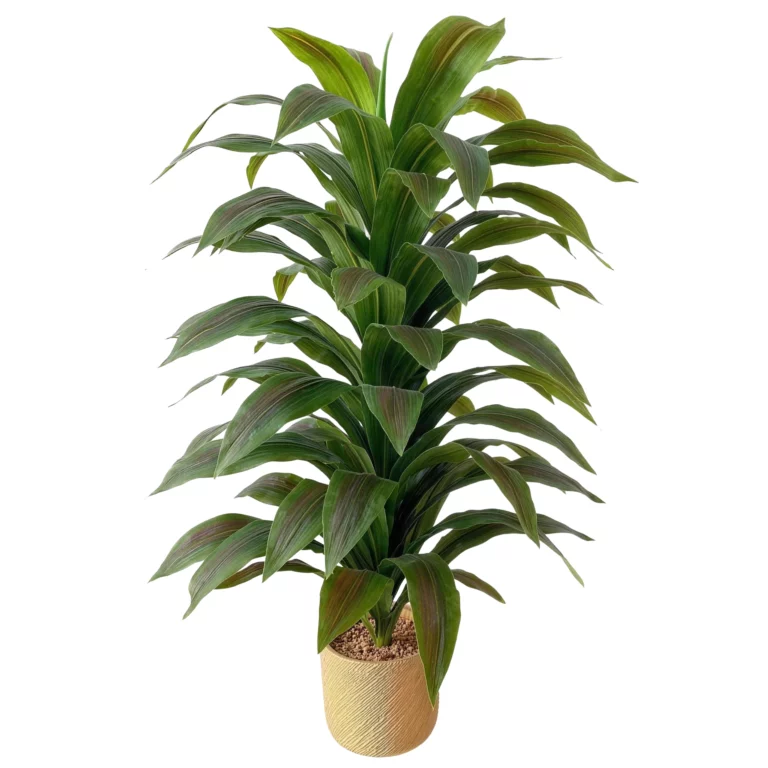 90cm Artificial Dracaena Plant UV Resistant 23STS227009