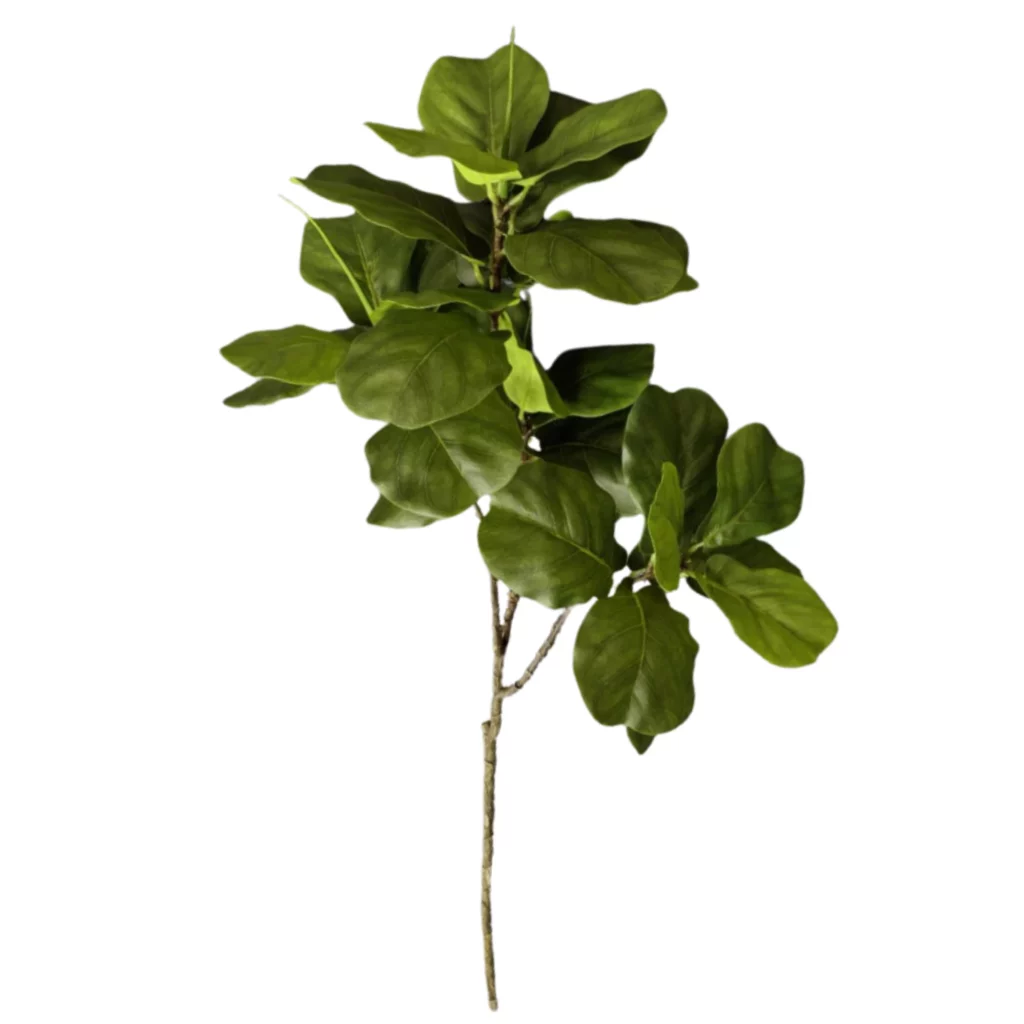 Artificial Large Fiddle Leaf Fig Branch 26STD338025-2