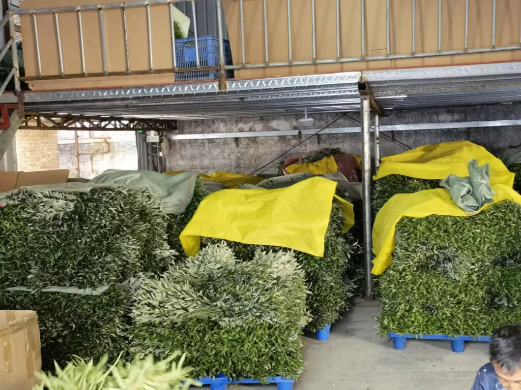 Your reliable partner for premium artificial plants worldwide