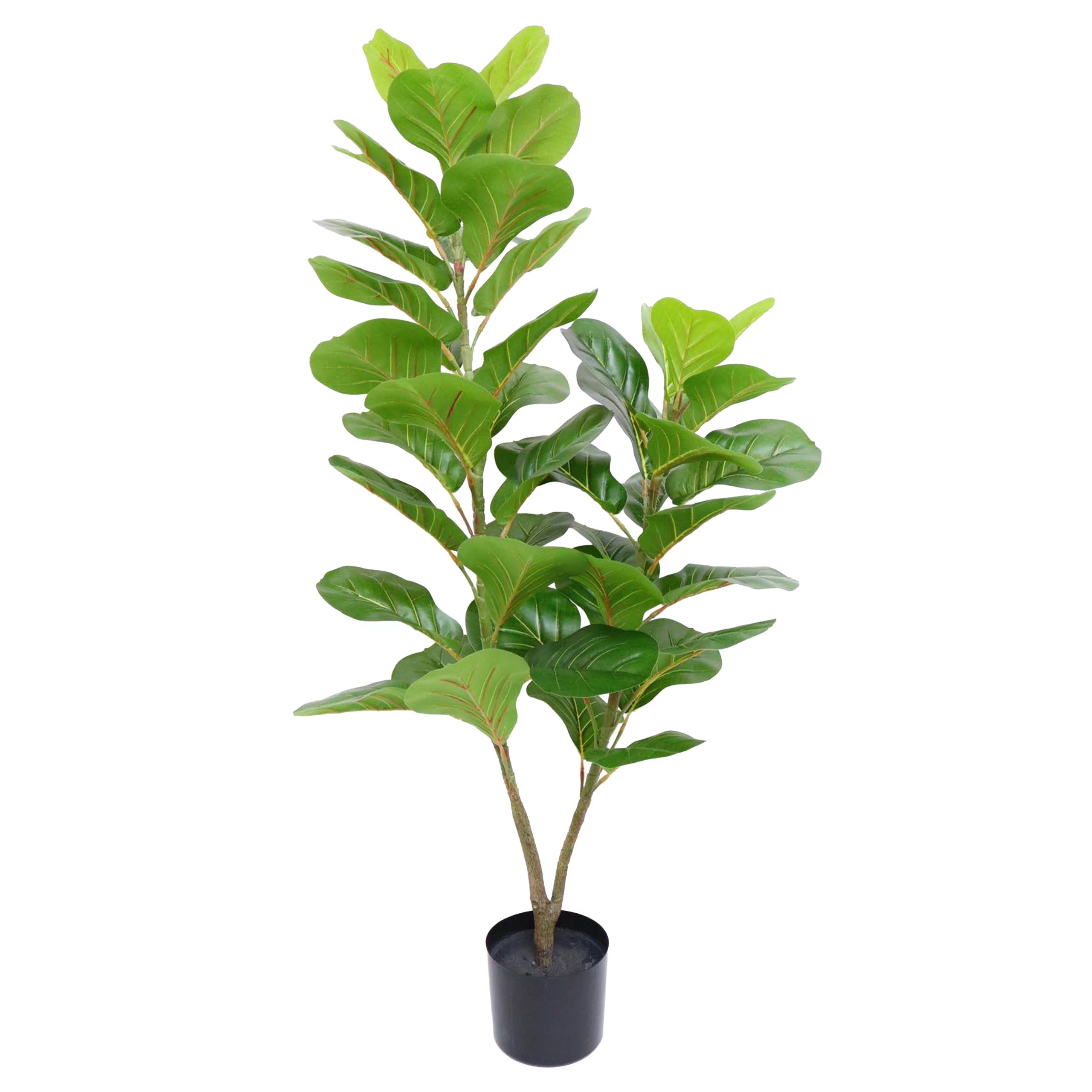 120cm Fiddle Leaf Fig Tree 23STS227168
