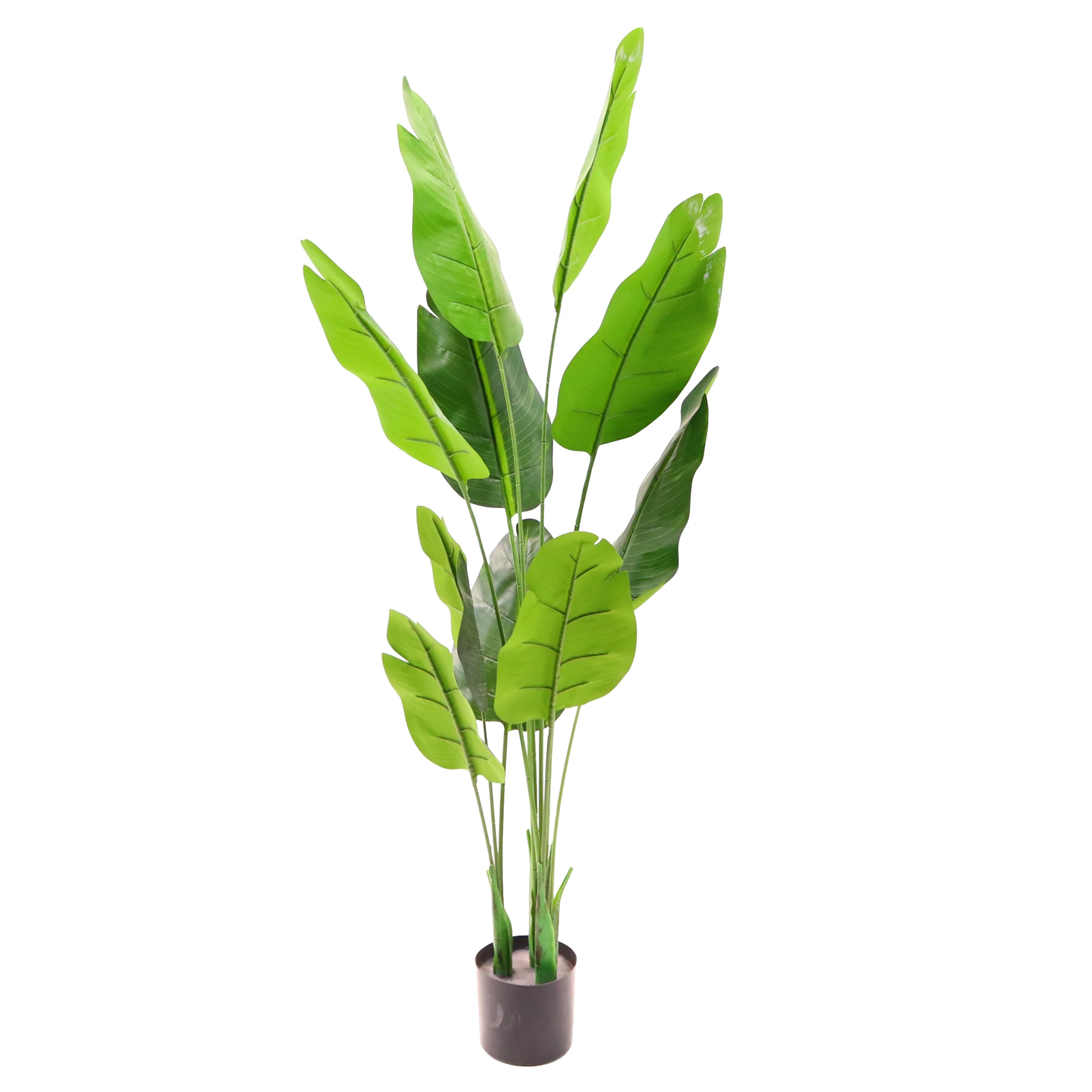 150cm Artificial Traveller Palm Tree