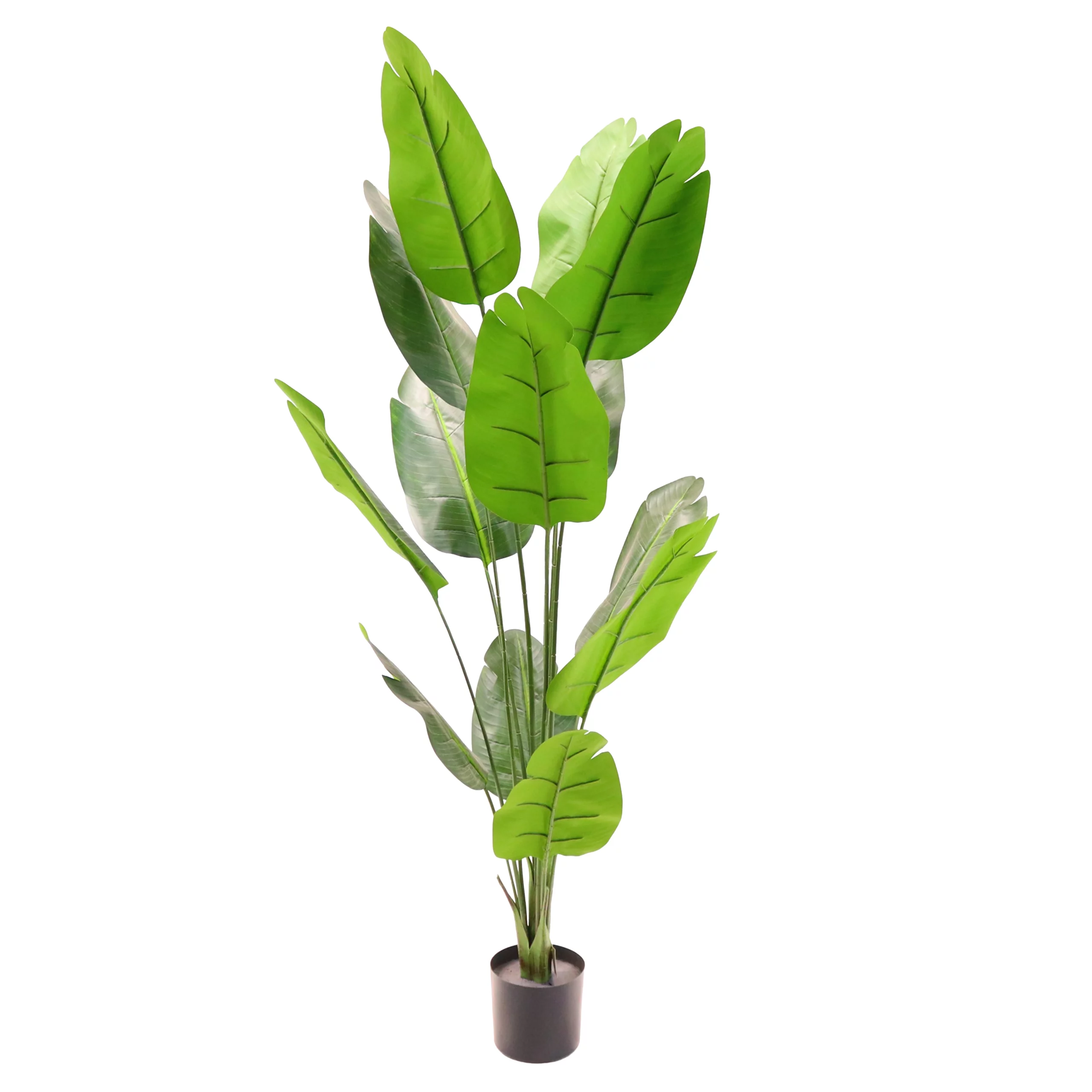 180cm Artificial Traveller Palm Tree 23STS227144