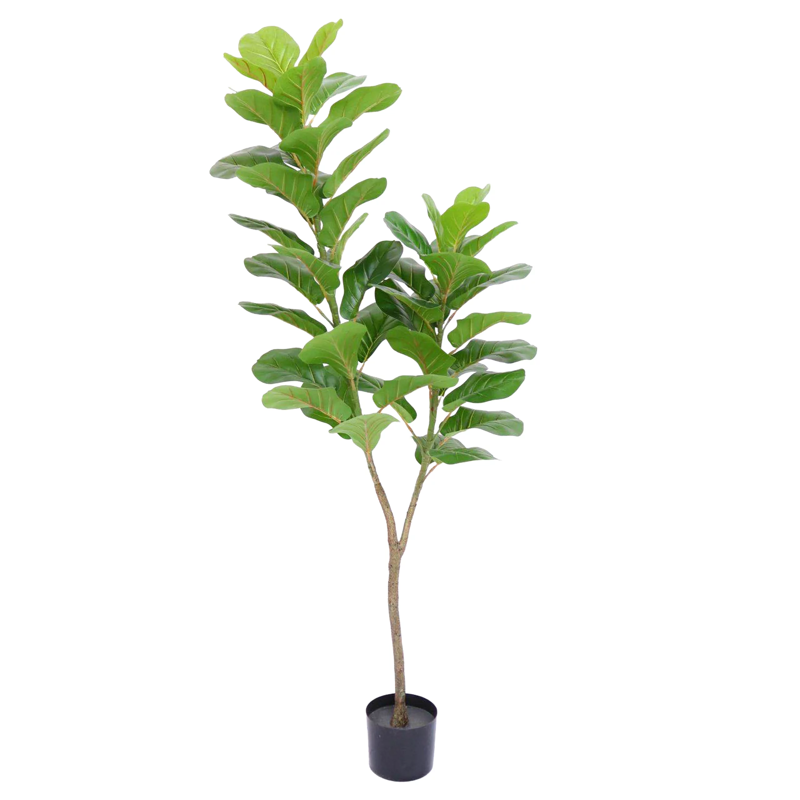 180cm Fiddle Leaf Fig Tree 23STS227175