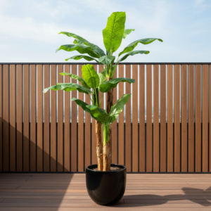 200cm Artificial Banana Tree (Triple Trunks)