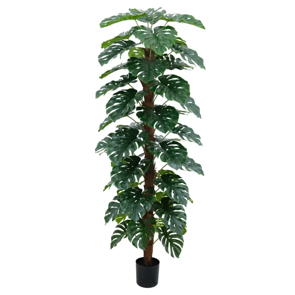 210cm Artificial Monstera Tree