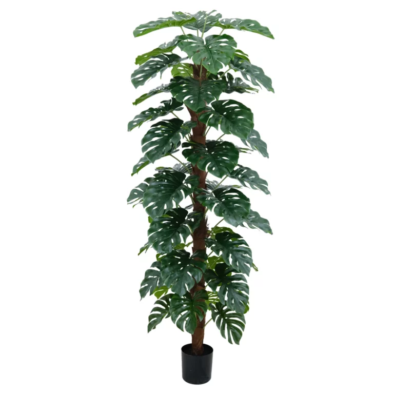 210cm Artificial Monstera Tree