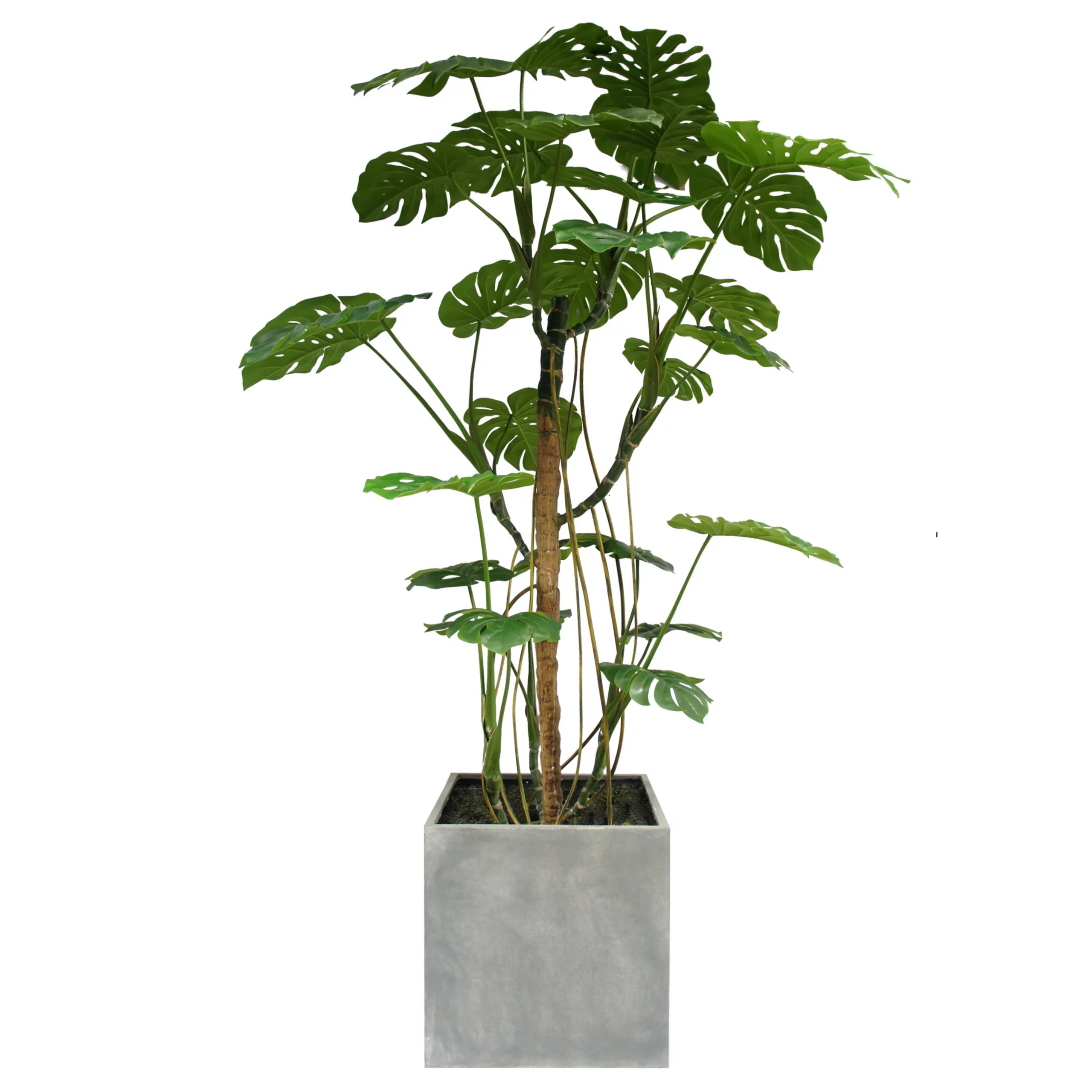 210cm Artificial Monstera Tree(KD) PC061-210C-KD