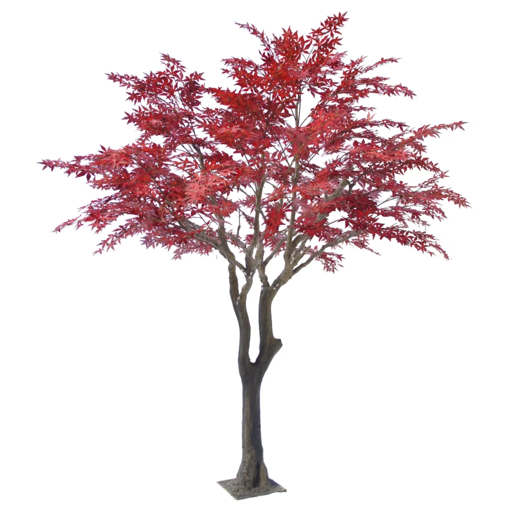 300cm Red Maple Tree on plate PC136-300B-RD