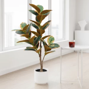 90cm Artificial Rubber Tree 23STS227238 scene