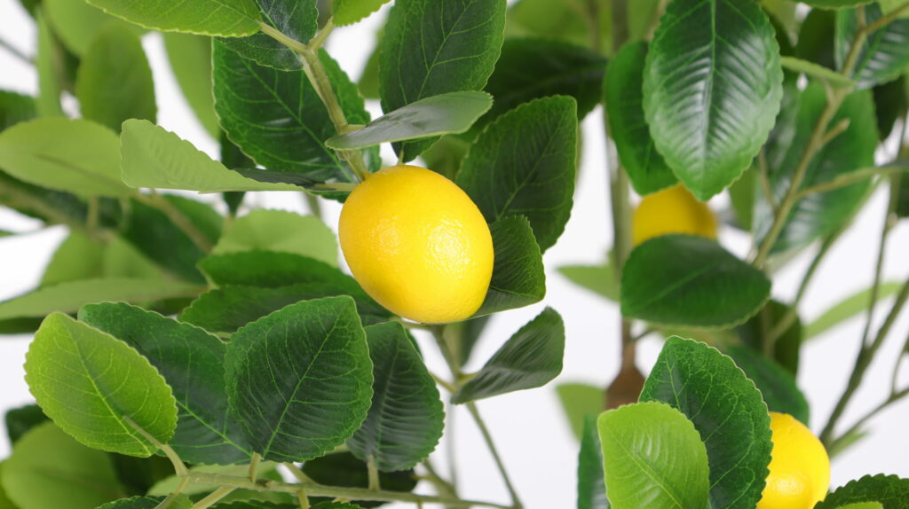 faux lemon tree
