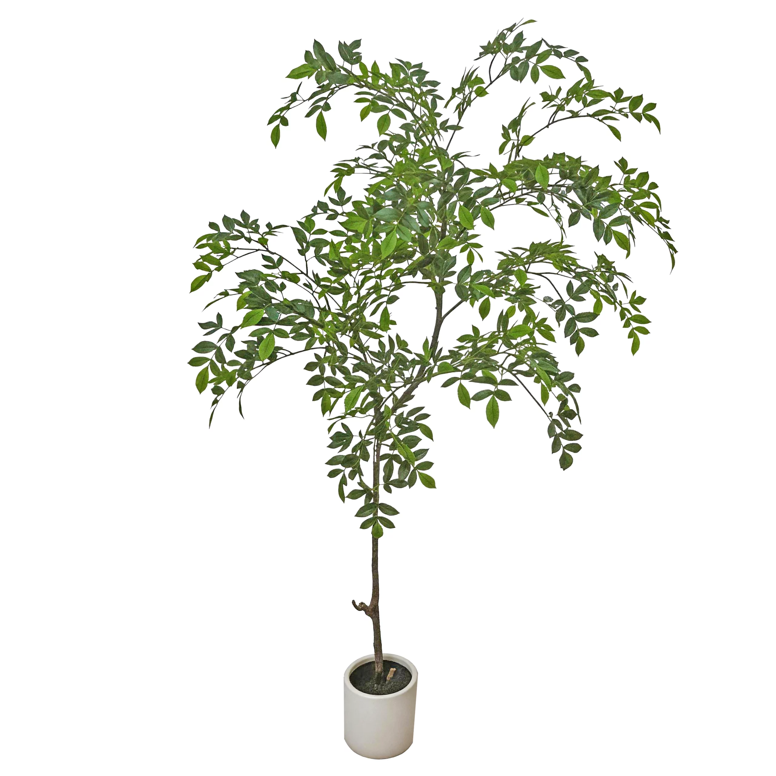 150cm Artificial Astilbe Leaf Tree 26STS212002-KD