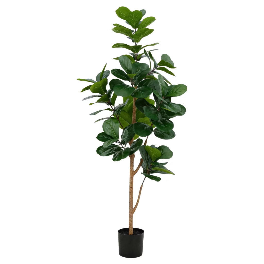 180cm Artificial Real Trunk Fiddle Leaf Fig Tree PC385-180C