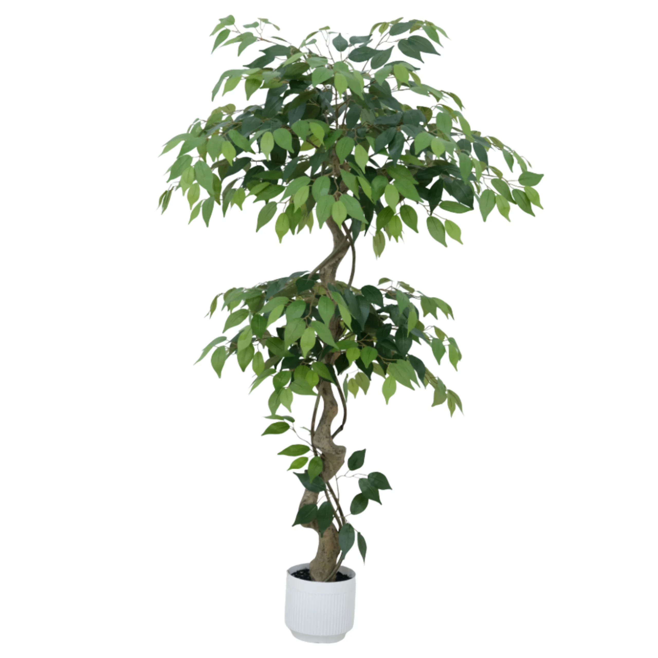 180cm Artificial S-Shaped silk Ficus Tree PC384-180B-KD
