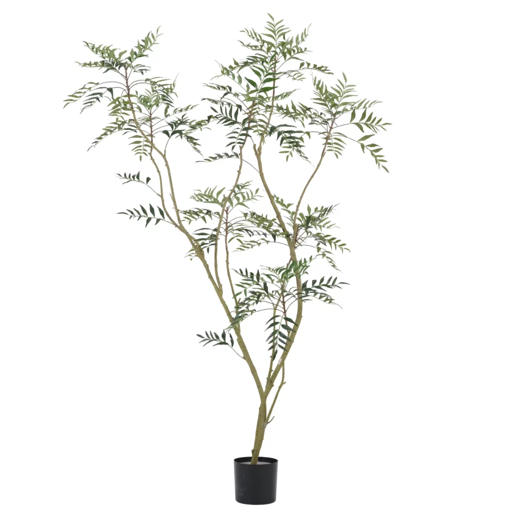 210cm Artificial Phellodendron Tree PC314-210A-KD