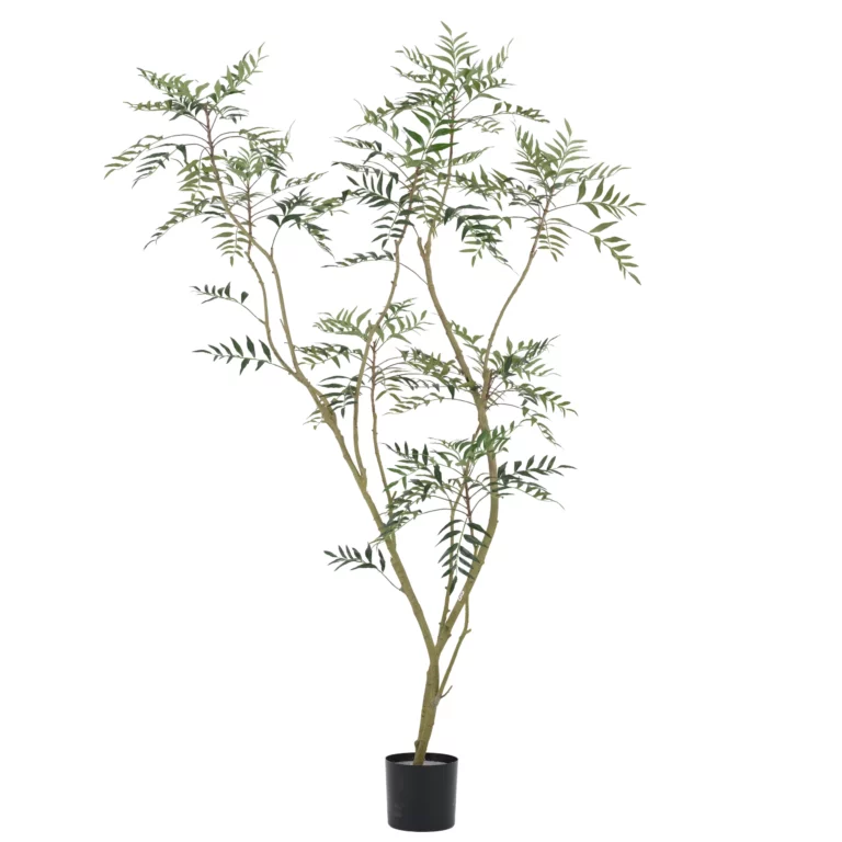 210cm Artificial Phellodendron Tree PC314-210A-KD