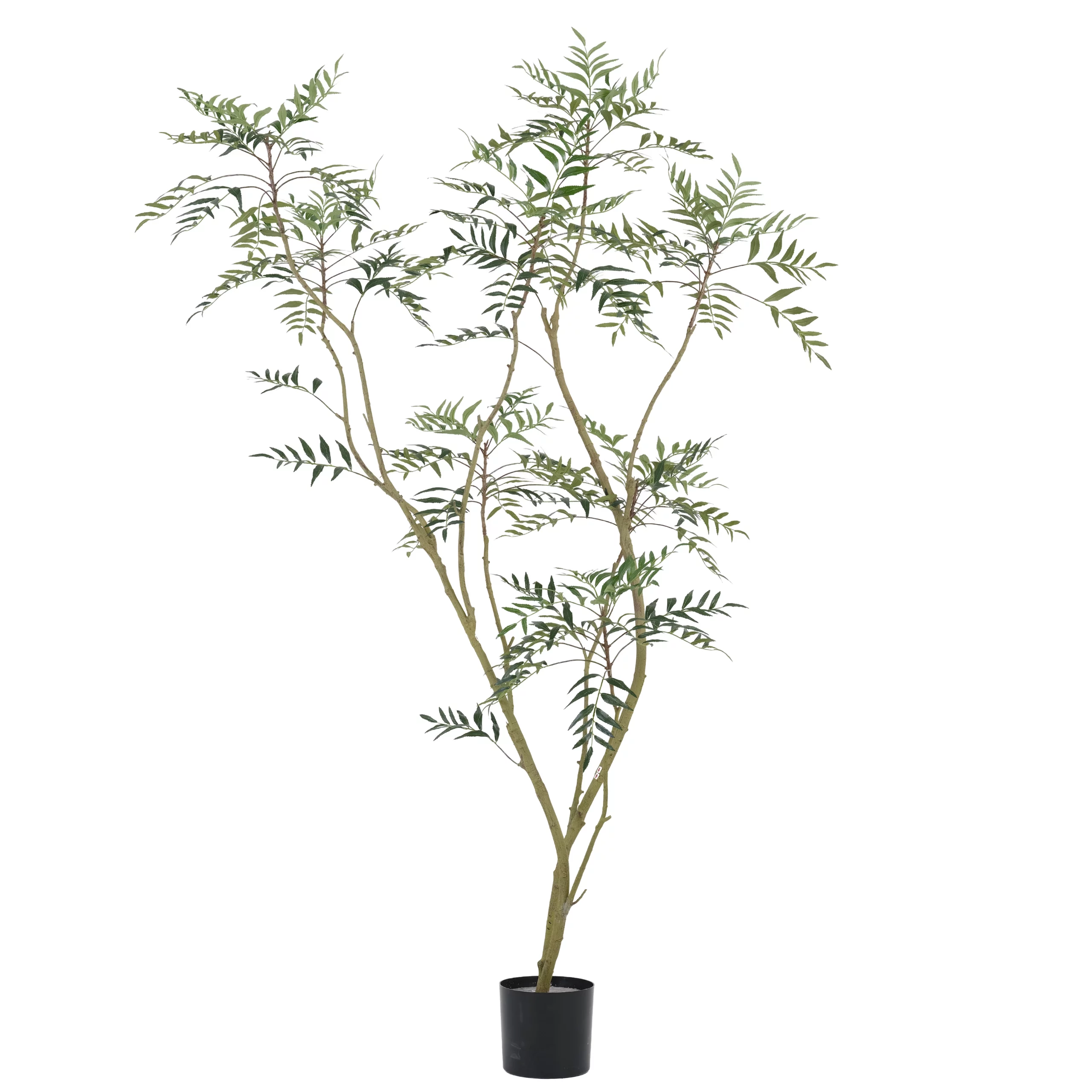 210cm Artificial Phellodendron Tree PC314-210A-KD