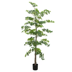 250cm Artificial Madagascar Almond Tree PC414-250A-KD