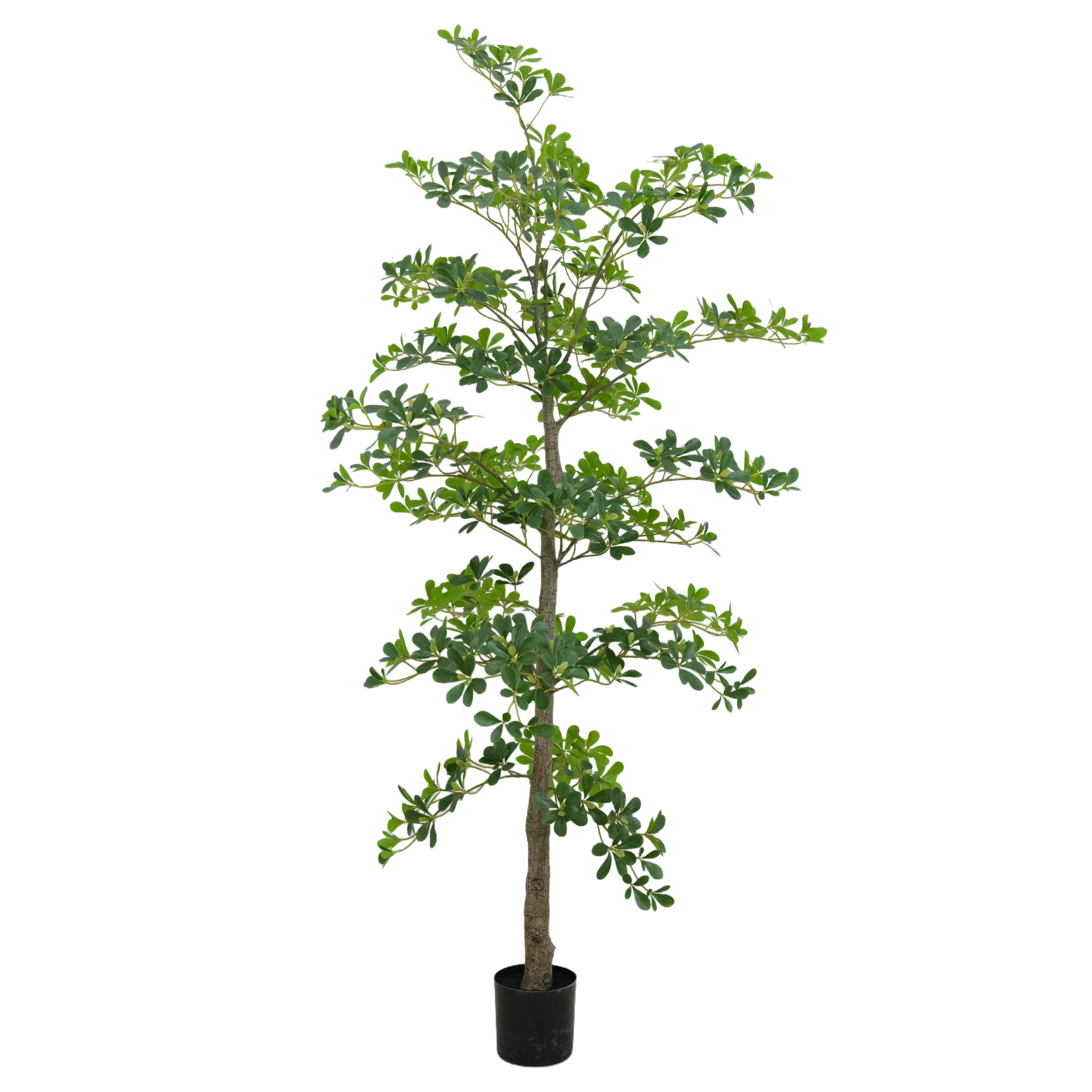 250cm Artificial Madagascar Almond Tree PC414-250A-KD