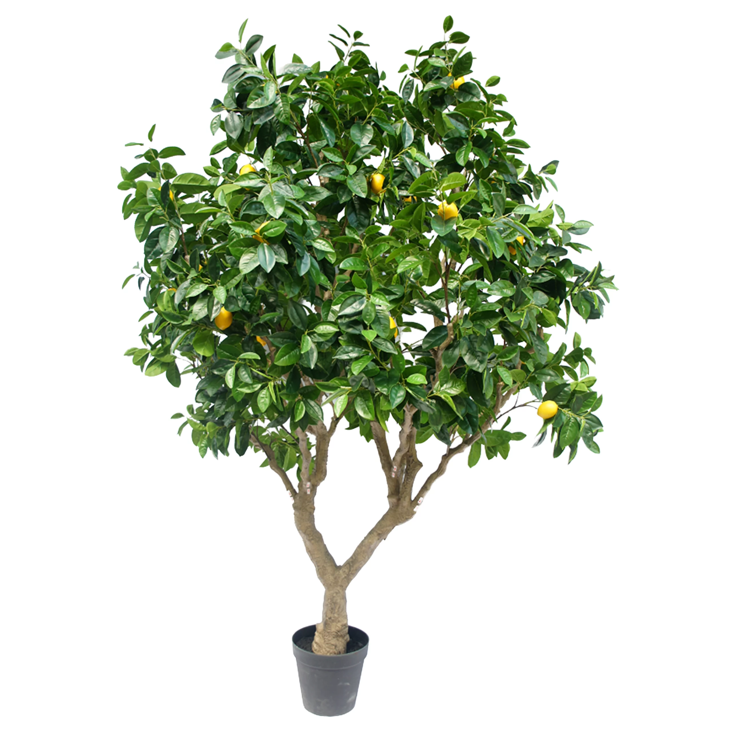 250cm Large Leaf Artificial Lemon Tree PCP139-250AB-KD