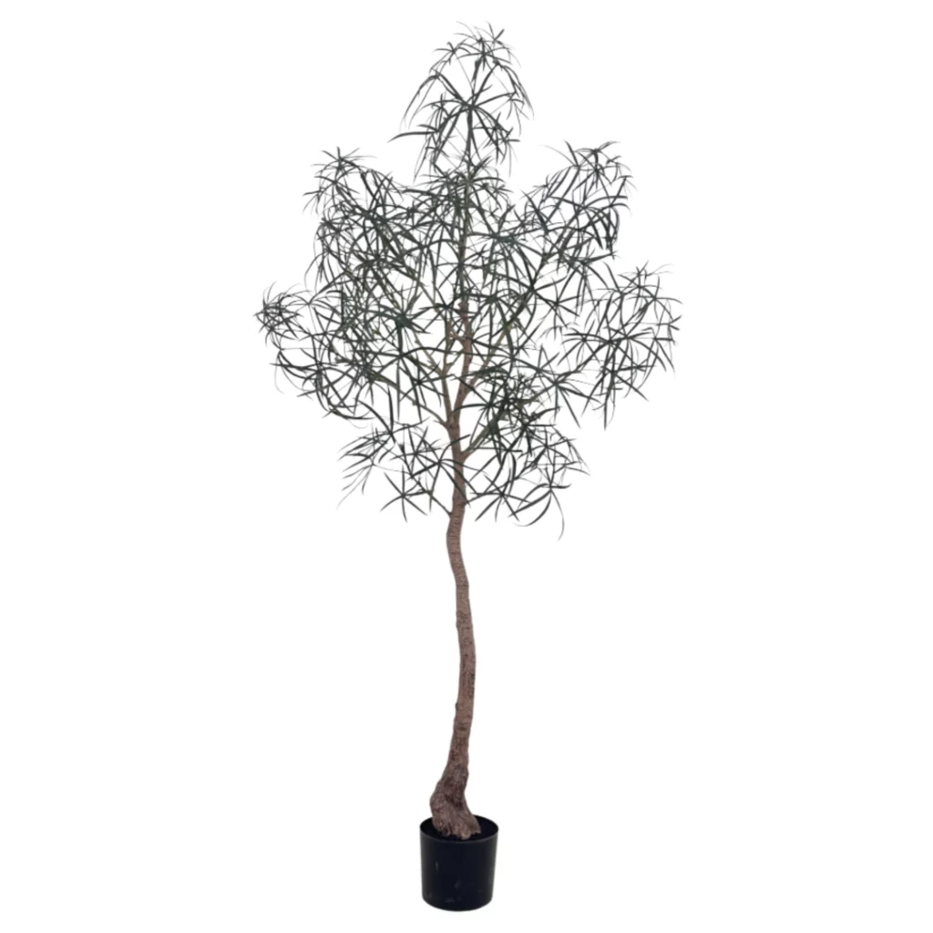 210cm Artificial Queensland Bottle Tree PC416-210A-KD