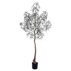 210cm Artificial Queensland Bottle Tree PC416-210A-KD