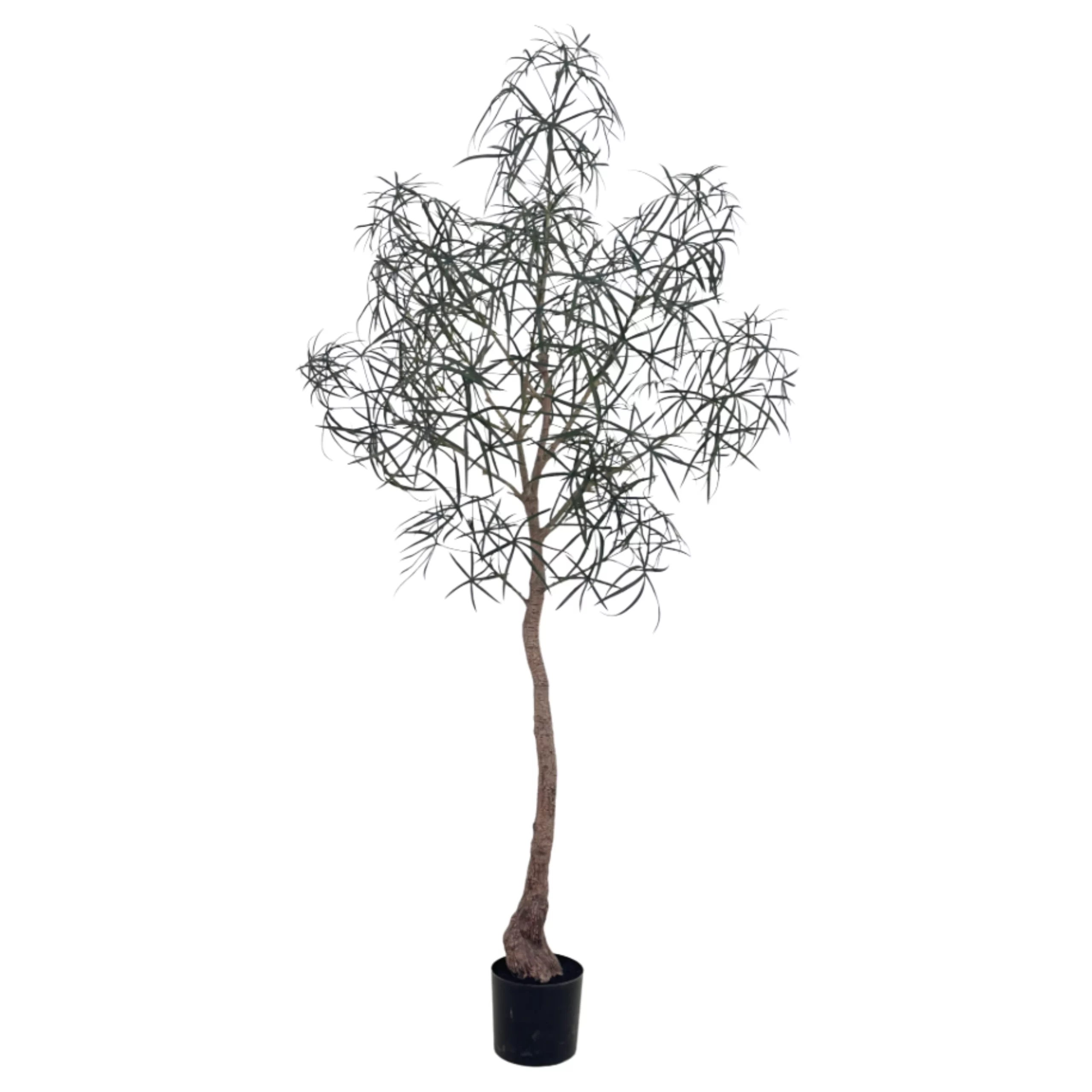 210cm Artificial Queensland Bottle Tree PC416-210A-KD