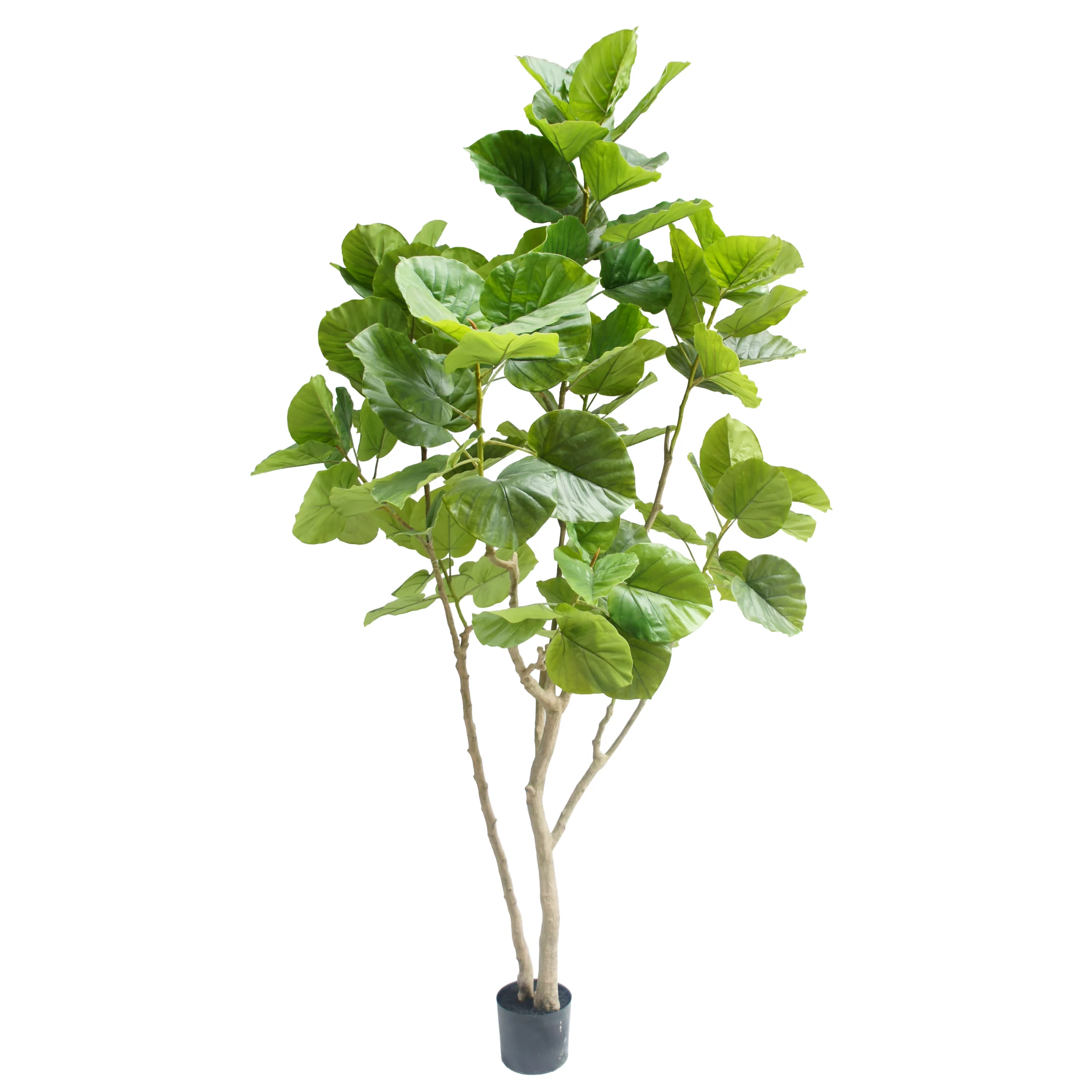 240cm Artificial Ficus Umbellata Tree PC198-240A-KD