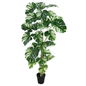 240cm Artificial Variegated Monstera Tree (KD) PC061-240C-B-KDwhite