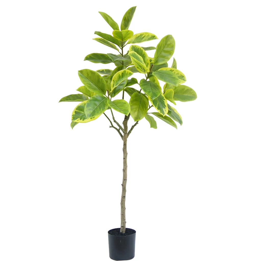 150cm Artificial Ficus Altissima Tree PC197-150A