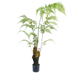 180cm Artificial Tree Fern JC030-180A