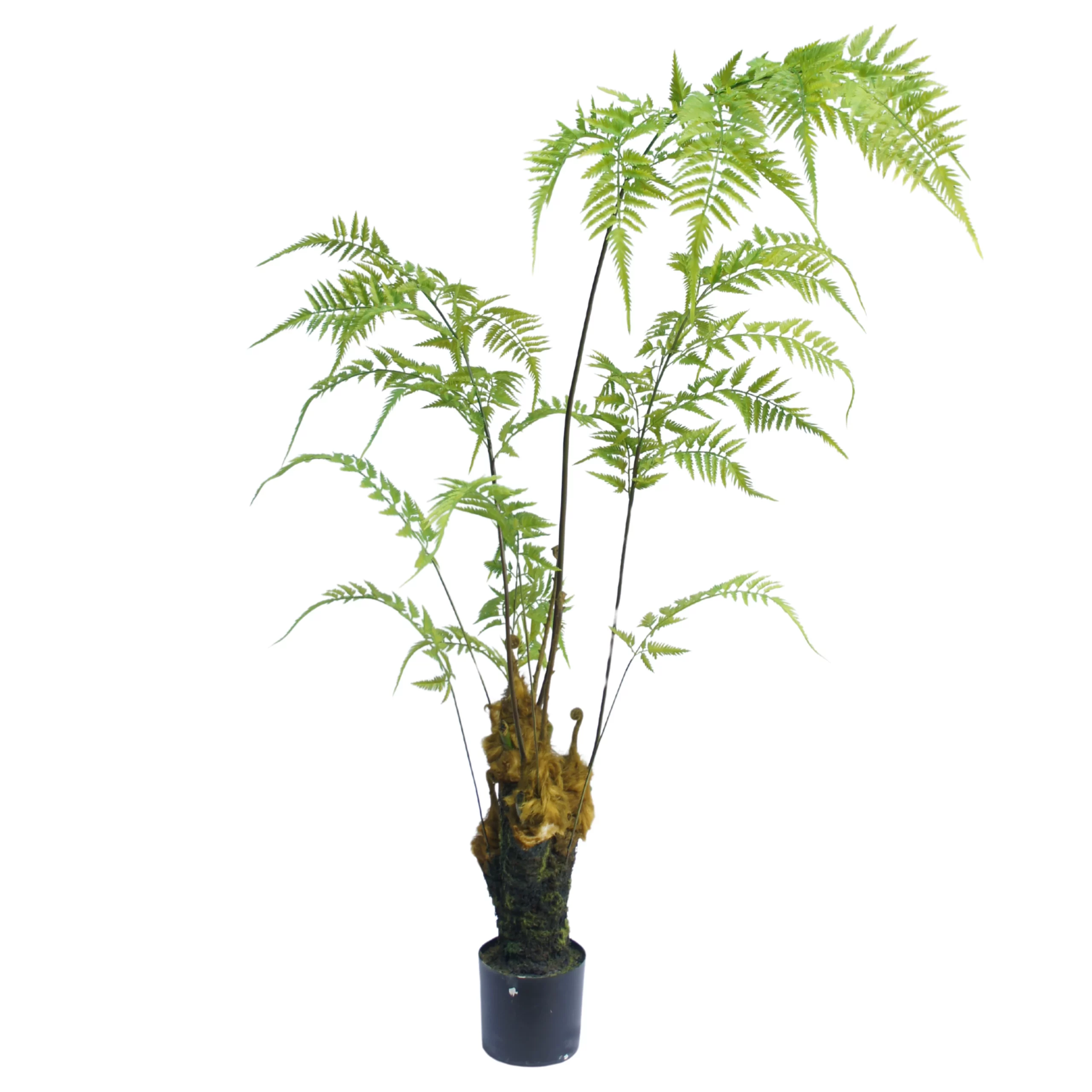 180cm Artificial Tree Fern JC030-180A