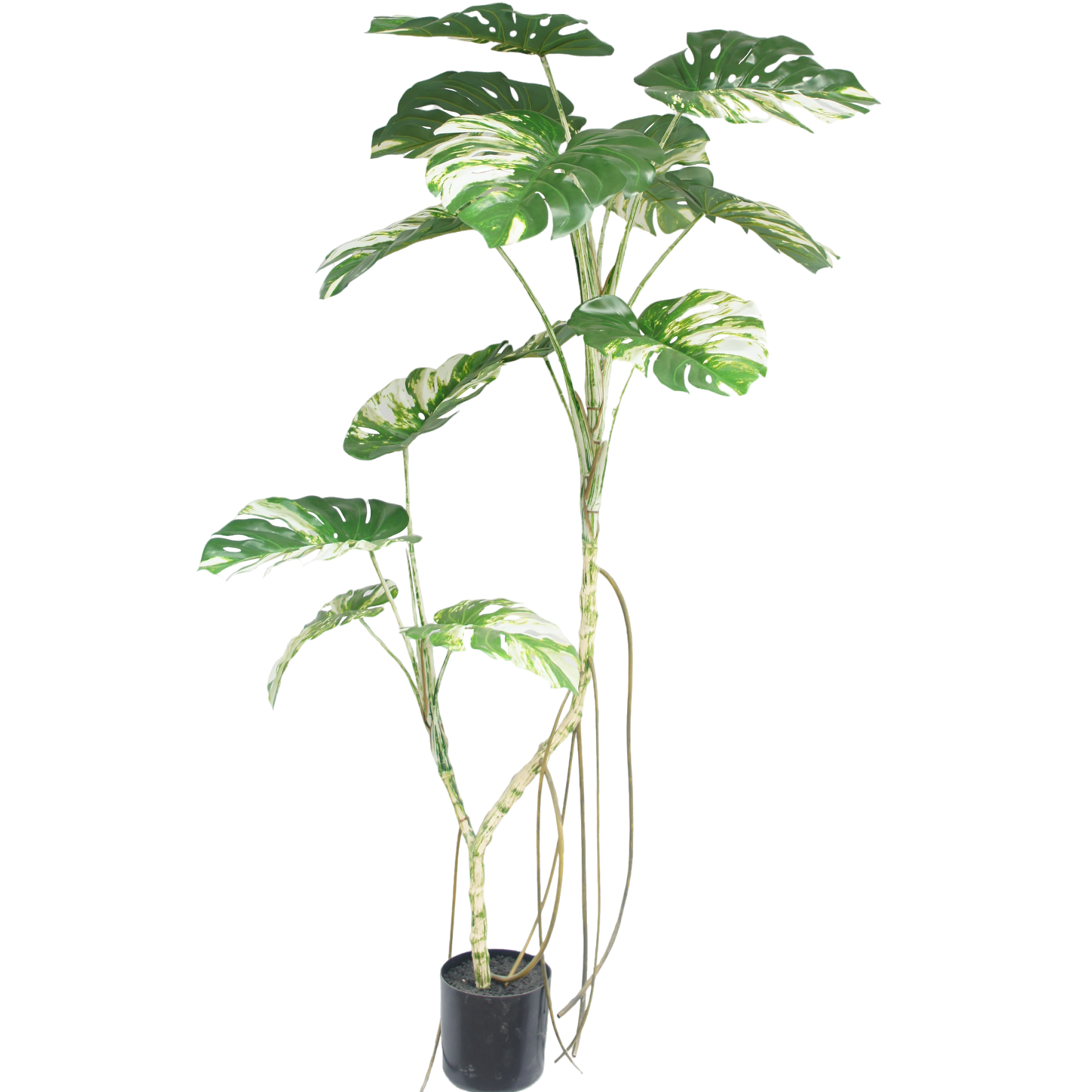 180cm Artificial Variegated Monstera Tree PC061-180F-B