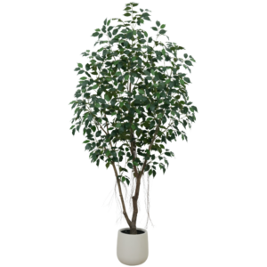 210cm Artificial 360-Degree Ficus Tree PC389-210A-KD