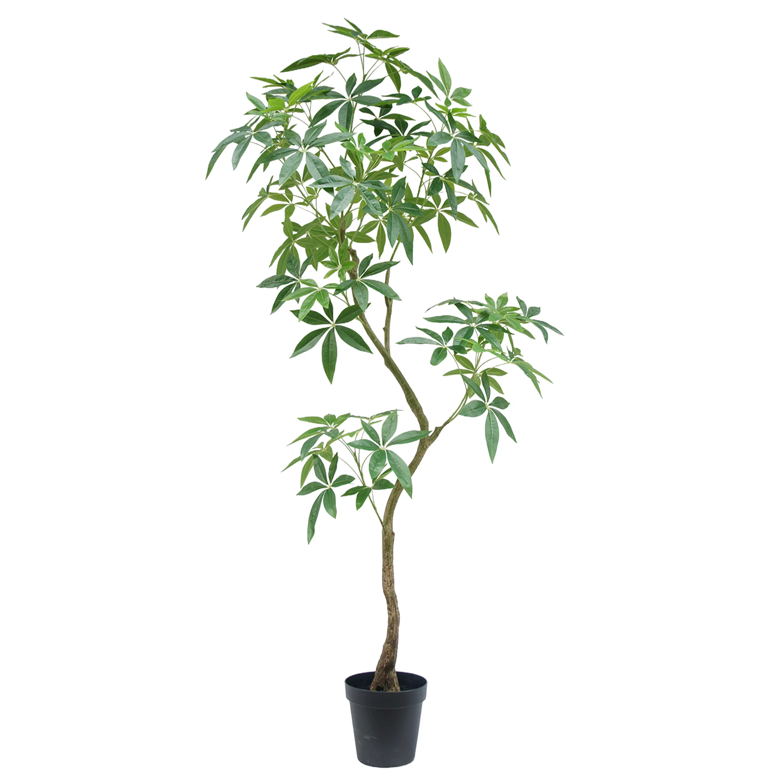 210cm Artificial Curved Trunk Money Tree PC185-210D-KD