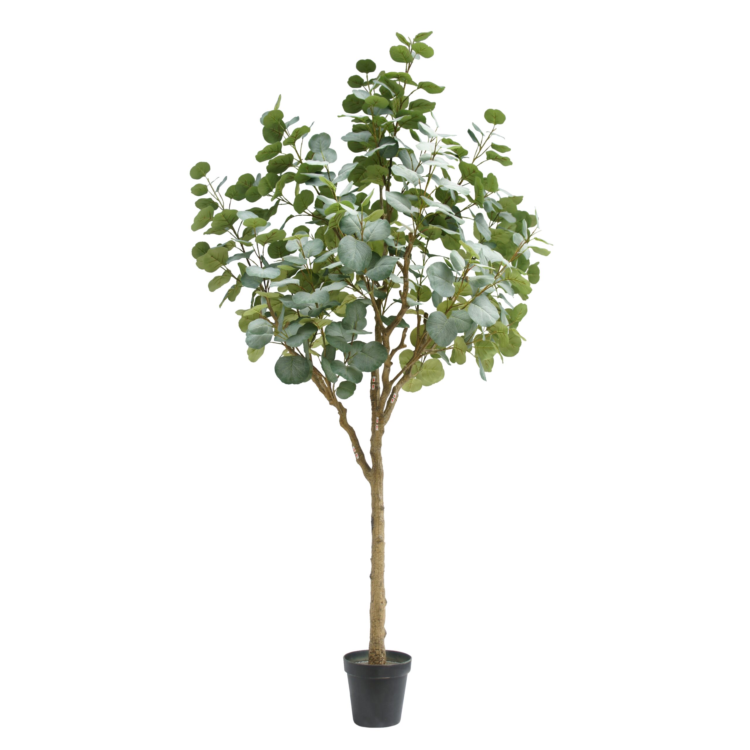 260cm Large Artificial Round-Leaf Eucalyptus Tree PC243-260A-KD 2