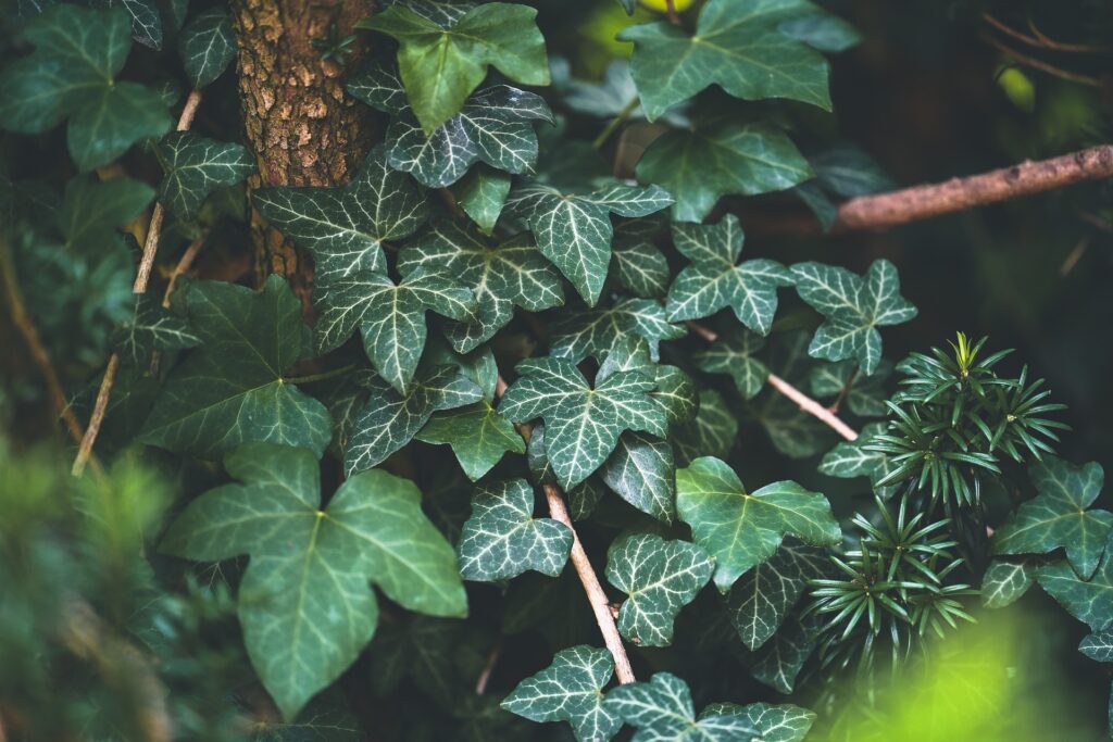 artificial plant leaves