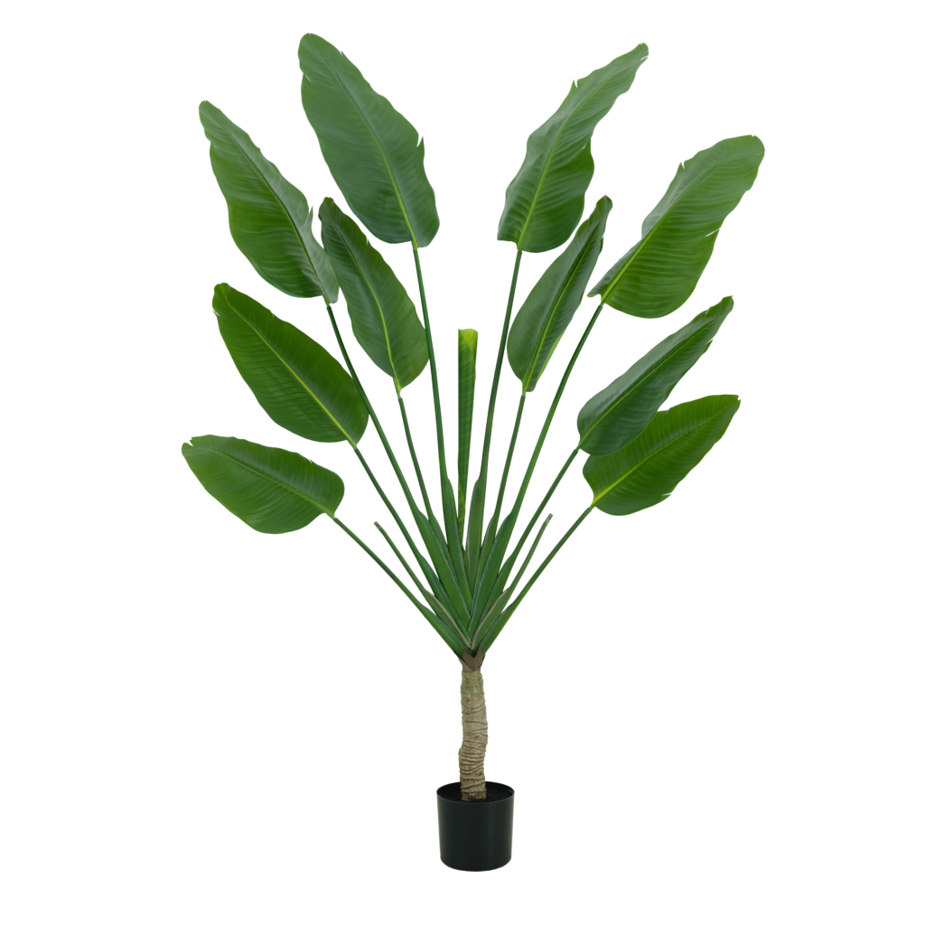 180cm Artificial Traveller Palm Tree (KD) KC071-180G-KD