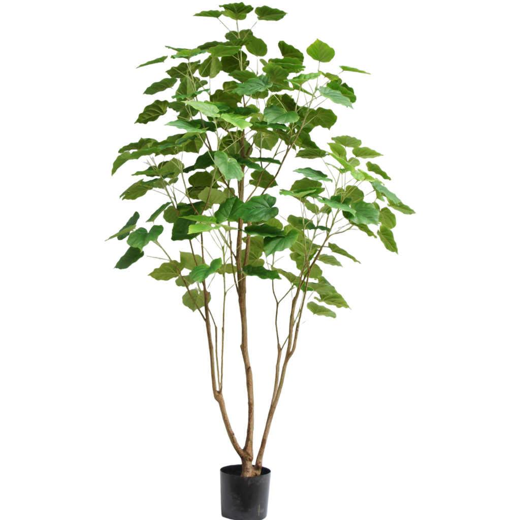 210cm Artificial Ficus Umbellata Tree PC126-210C-C