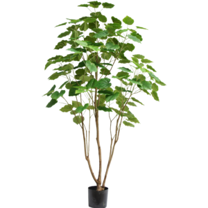 210cm Artificial Ficus Umbellata Tree PC126-210C-C