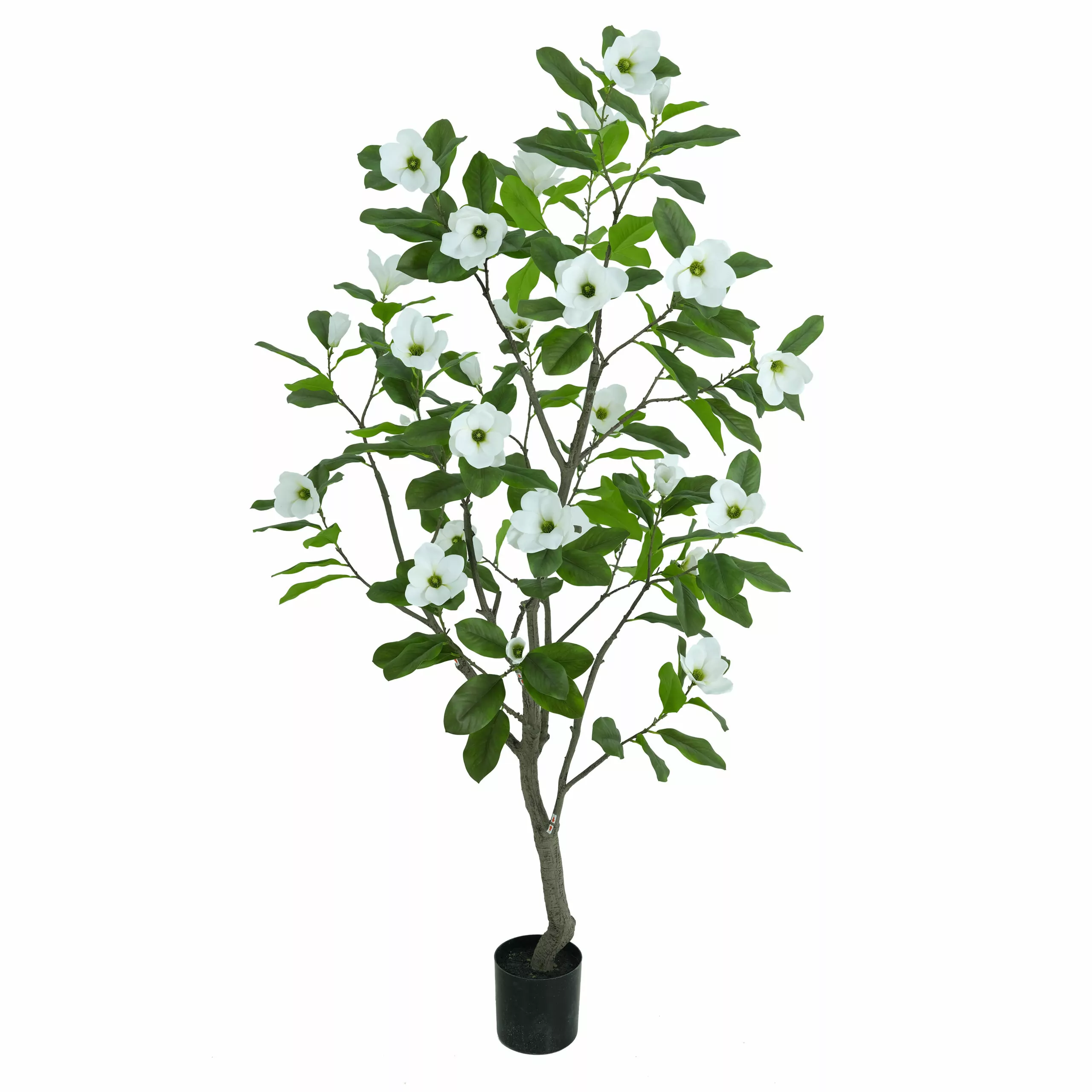 210cm Artificial Magnolia Floral Tree (KD) PC347-210A-KD