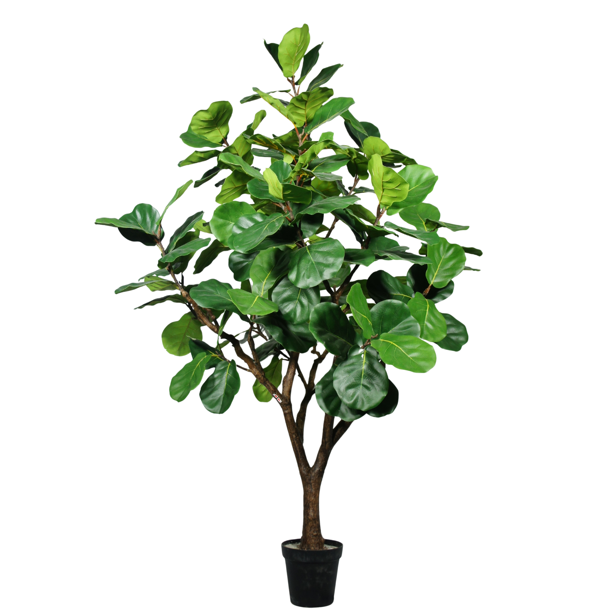 220cm Large Artificial Fiddle Leaf Fig Tree (KD) PC148-220A-KD