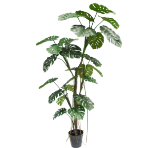 240cm Large Artificial Monstera Tree (KD) PC061-240C-KD