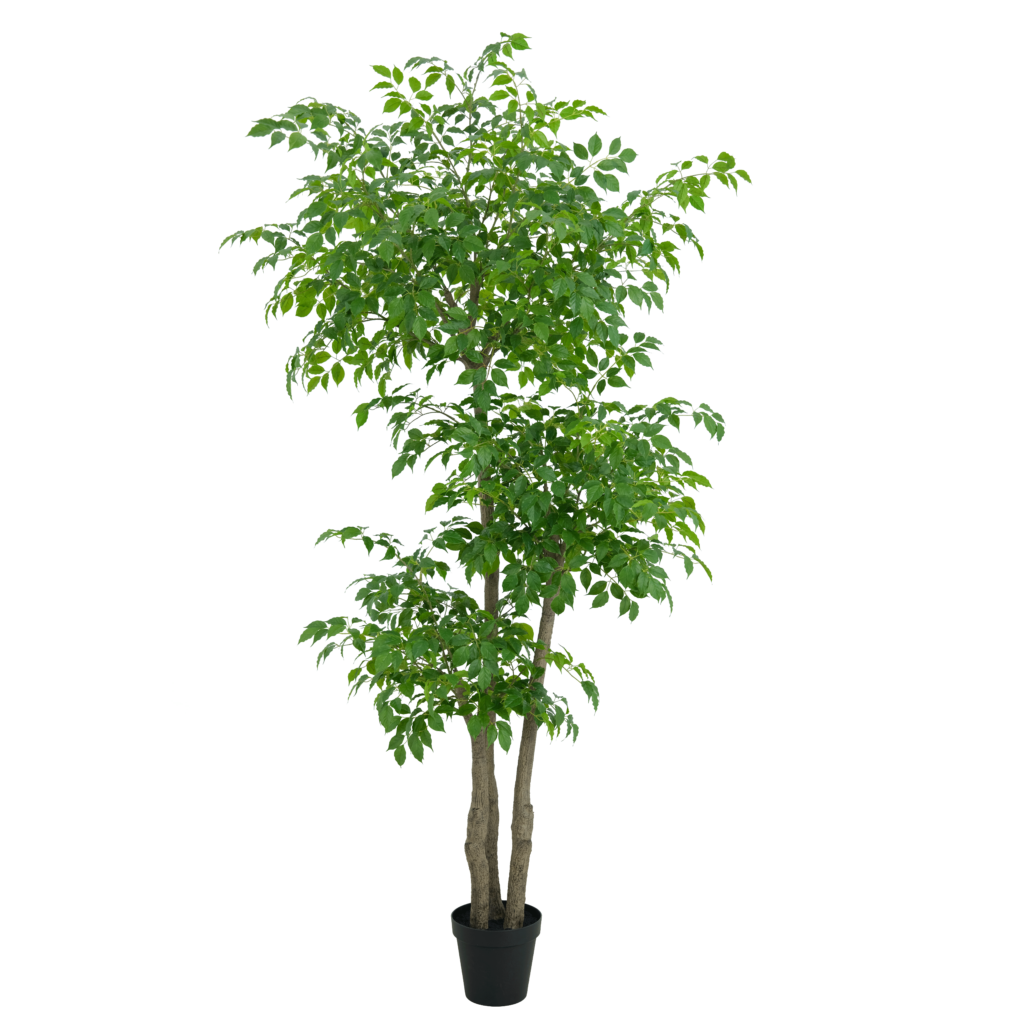 240cm Large Artificial Radermachera Tree (KD) PC299-240B-KD