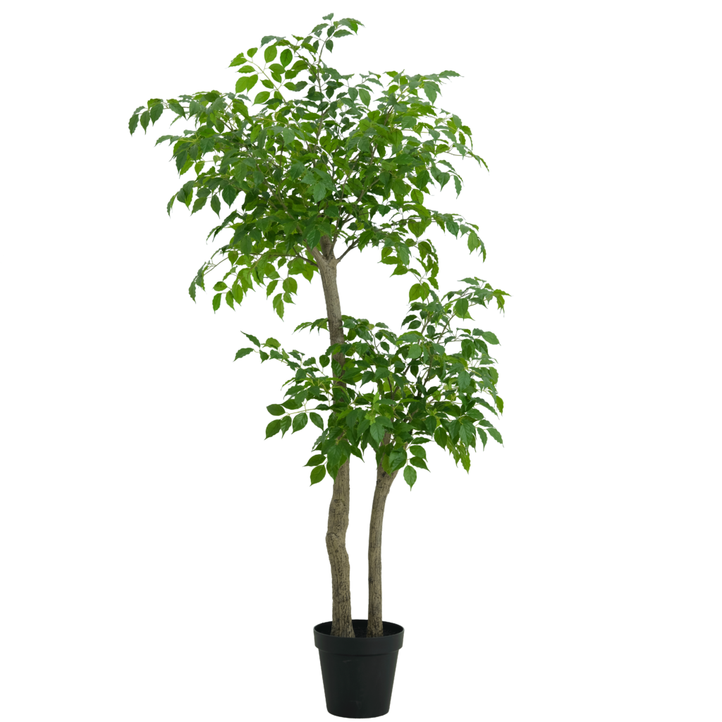 180cm Artificial Radermachera Sinica Tree PC299-180B-KD