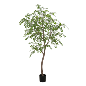 210cm Artificial Green Loropetalum Tree PC403-210A-KD