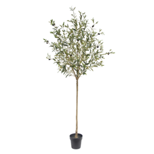 210cm Artificial Olive Tree with Fruits PC235-210A-KD