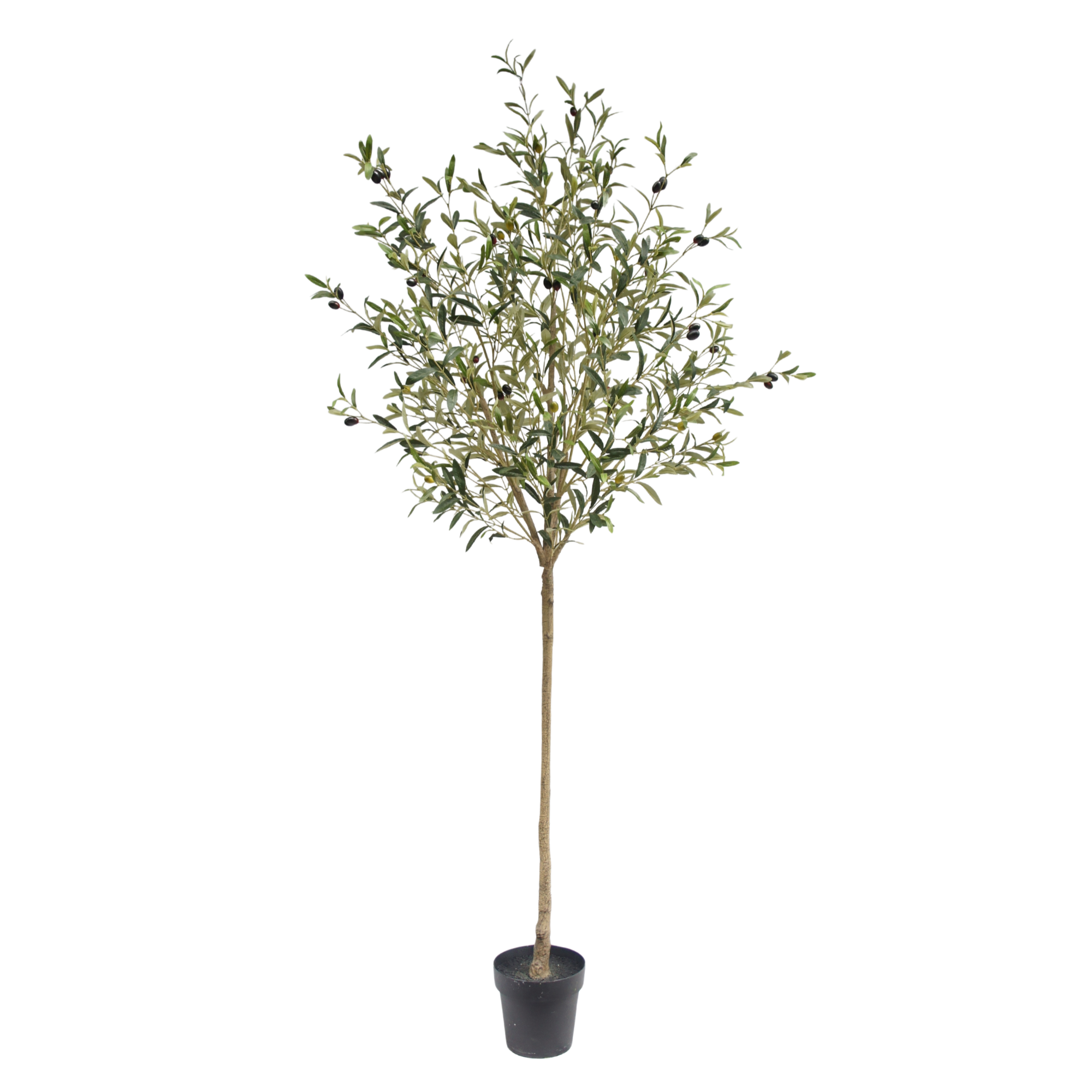 210cm Artificial Olive Tree with Fruits PC235-210A-KD
